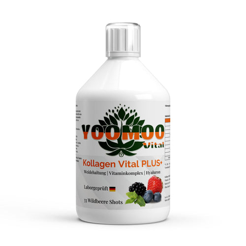 Kollagen Vital PLUS+ Shots - Wild Berry - 500ml - YOOMOO Vital