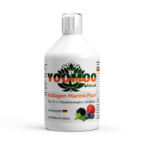 Kollagen Marine Plus+ - 50 Shots - Wildbeere - 500ml - YOOMOO Vital