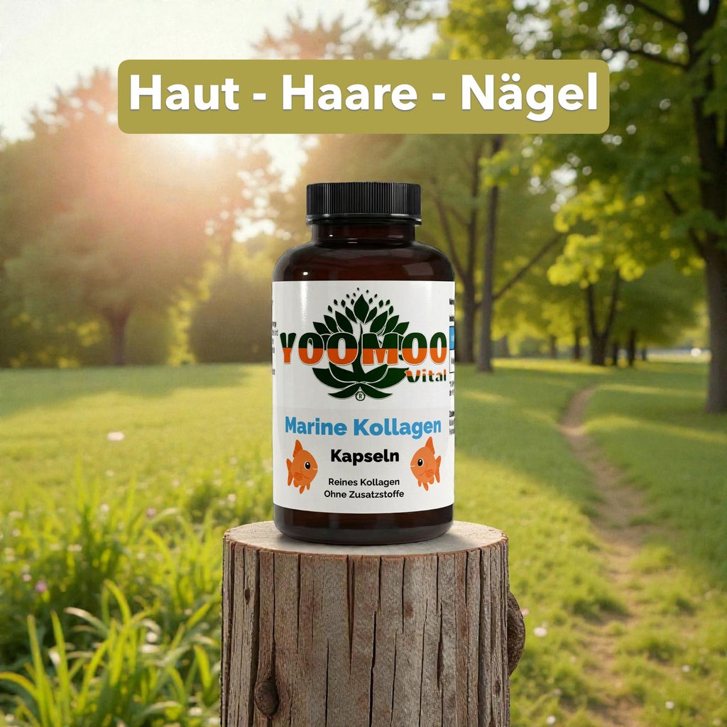 Marine Kollagen Peptide - 120 Kapseln - YOOMOO Vital
