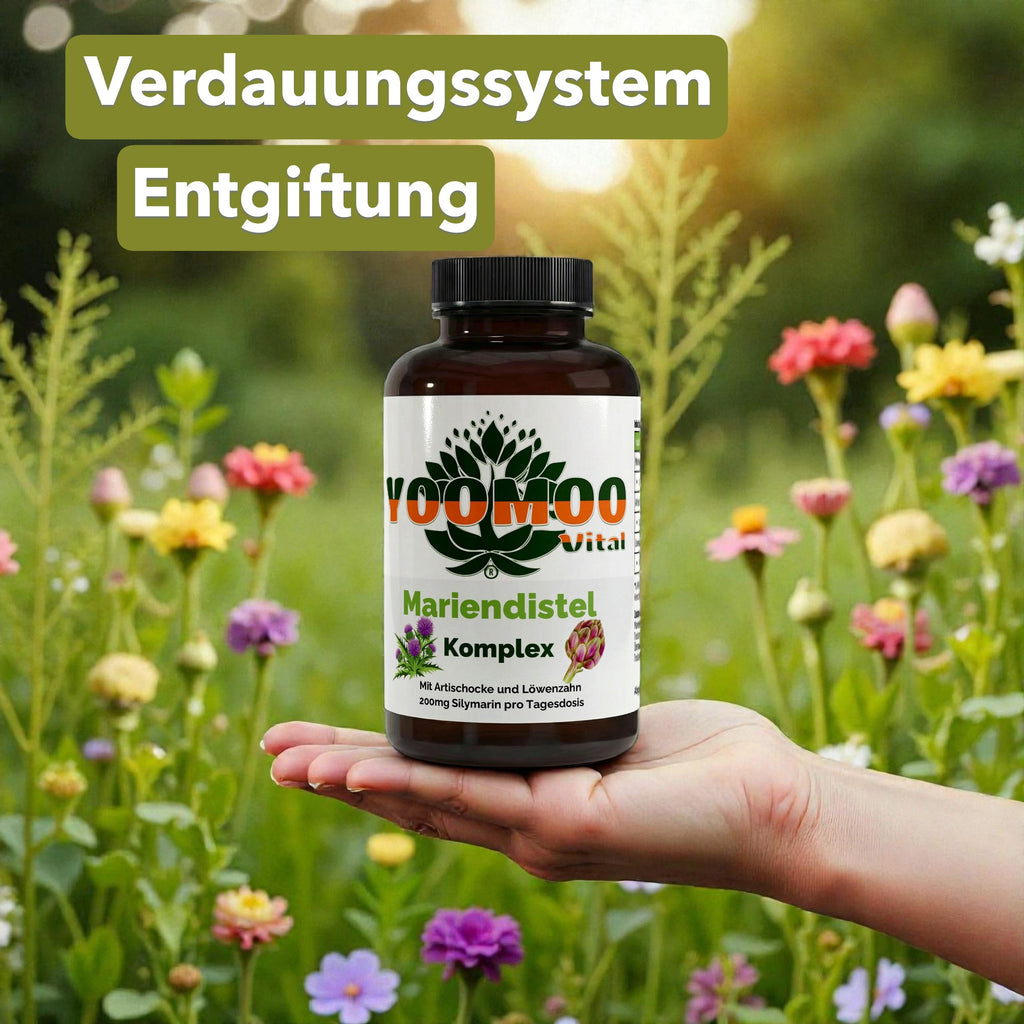 Mariendistel Artischocke Löwenzahn Komplex - 120 Kapseln - YOOMOO Vital